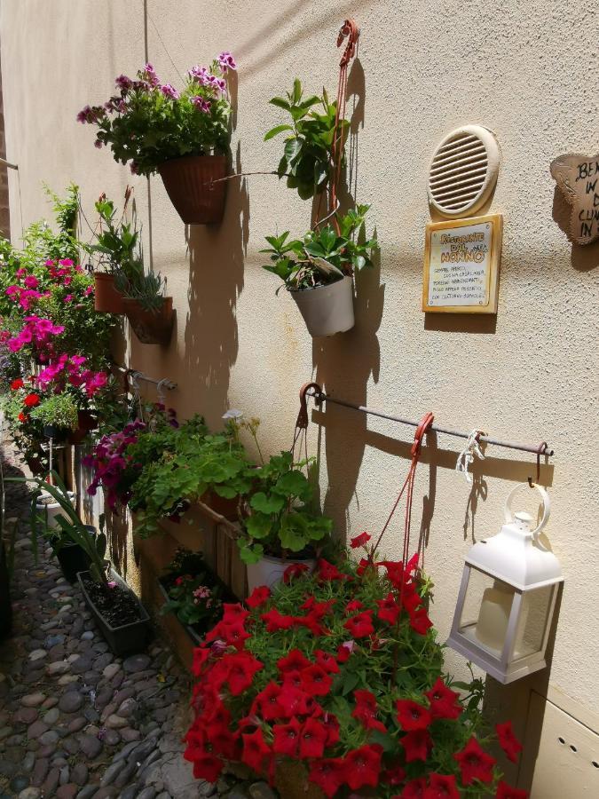 Apartment Vicolo Fiorito *