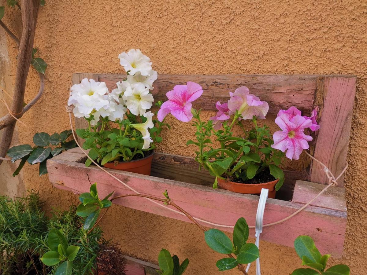 Apartment Vicolo Fiorito