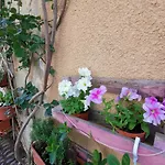 Vicolo Fiorito Apartment