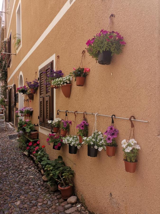 Apartment Vicolo Fiorito