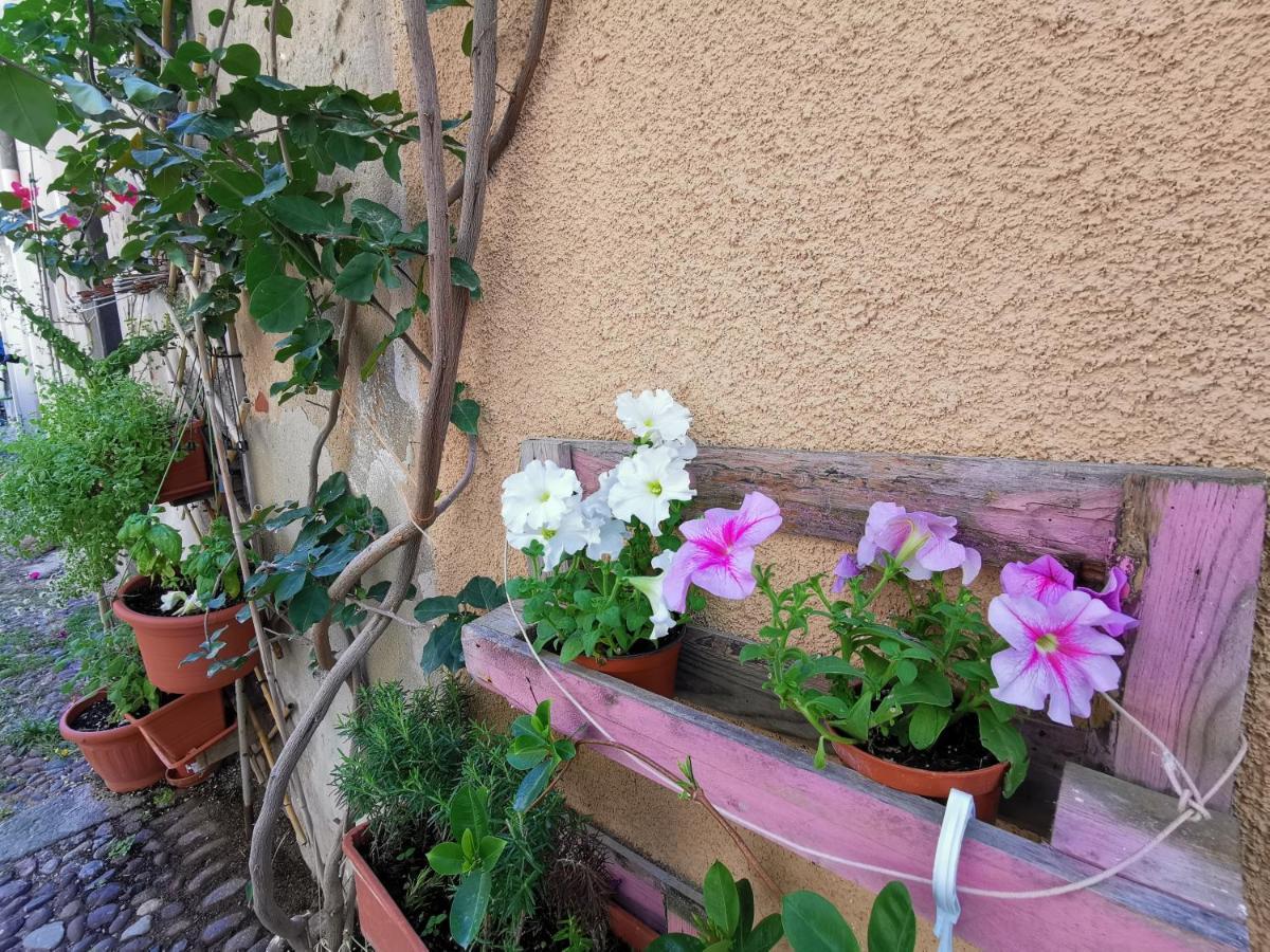 Apartment Vicolo Fiorito Alghero