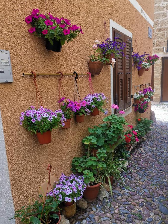 Apartment Vicolo Fiorito