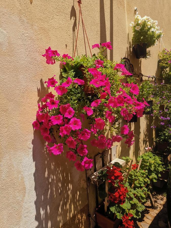 Vicolo Fiorito Apartment *